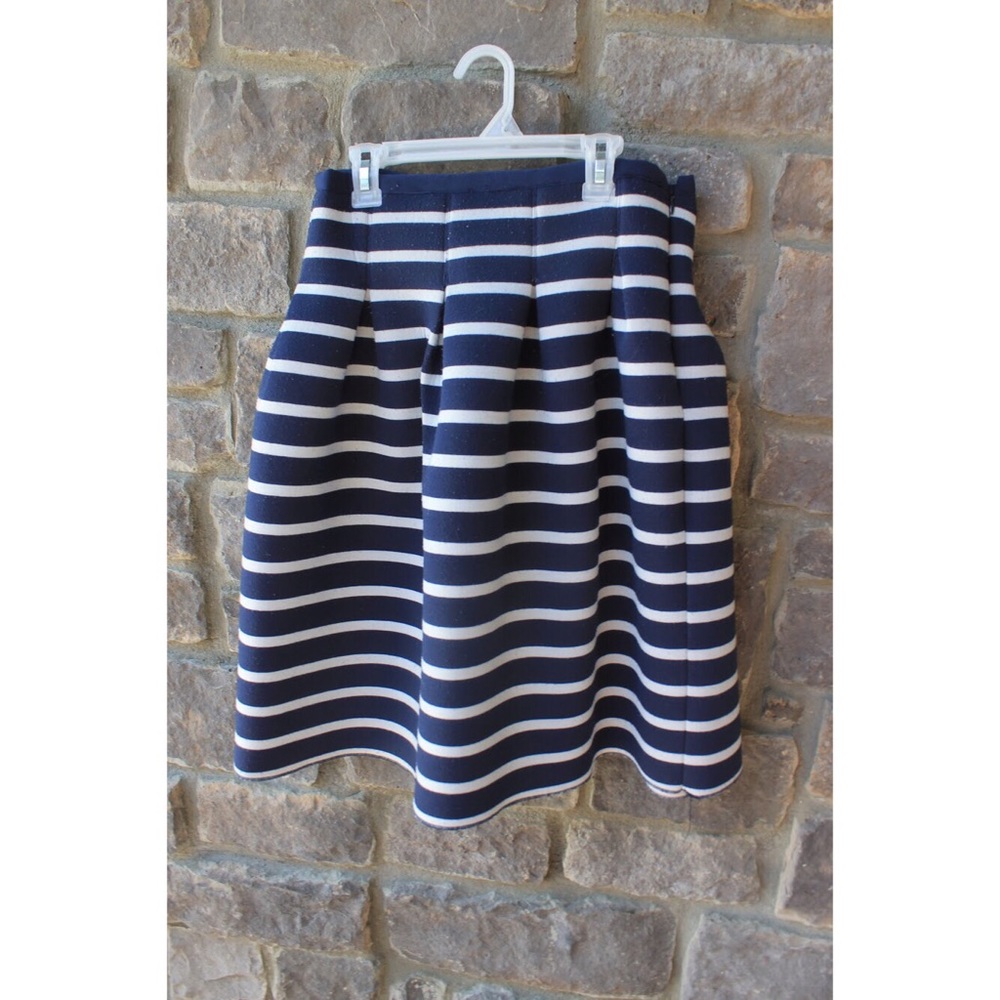 Blue Striped Skirt
